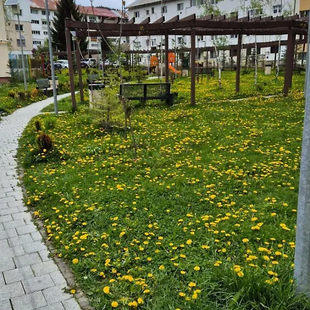 La Munte Apartment